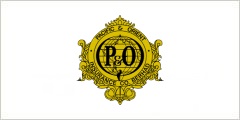 Pacific and Orient Insurance logo